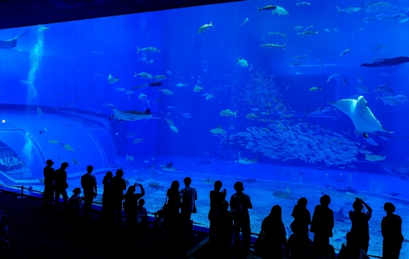 沖繩美麗海水族館