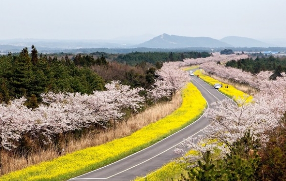 加時里（鹿山路）